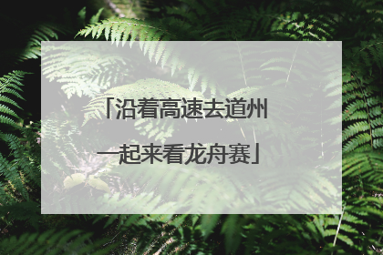 沿着高速去道州 一起来看龙舟赛