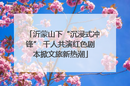 沂蒙山下“沉浸式冲锋” 千人共演红色剧本掀文旅新热潮