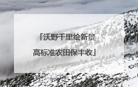沃野千里绘新景 高标准农田保丰收