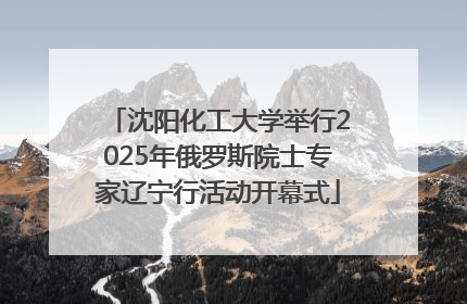 沈阳化工大学举行2025年俄罗斯院士专家辽宁行活动开幕式