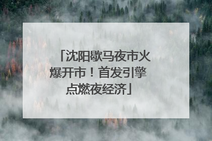 沈阳歇马夜市火爆开市！首发引擎点燃夜经济