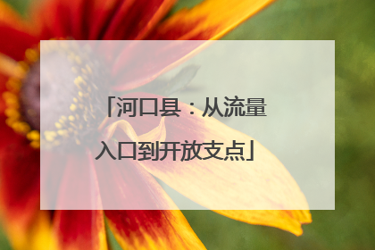 河口县：从流量入口到开放支点