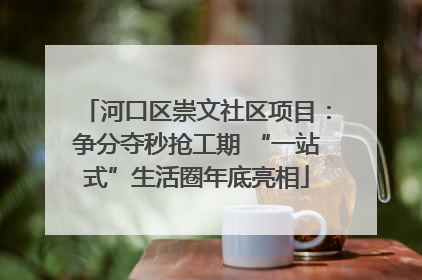 河口区崇文社区项目：争分夺秒抢工期 “一站式”生活圈年底亮相