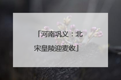 河南巩义：北宋皇陵迎麦收
