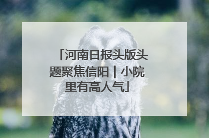 河南日报头版头题聚焦信阳｜小院里有高人气