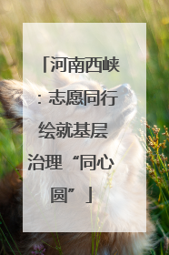 河南西峡：志愿同行 绘就基层治理“同心圆”