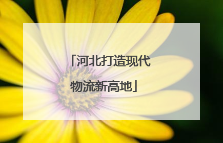 河北打造现代物流新高地
