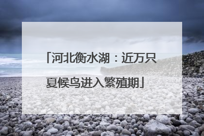 河北衡水湖：近万只夏候鸟进入繁殖期