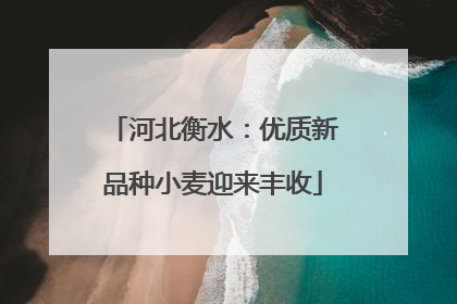 河北衡水：优质新品种小麦迎来丰收