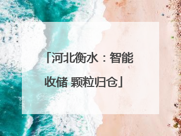 河北衡水：智能收储 颗粒归仓