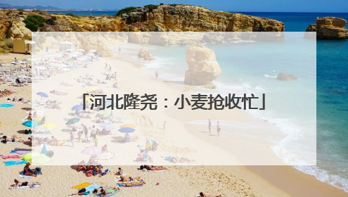 河北隆尧：小麦抢收忙