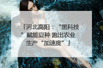 河北高阳：“黑科技”赋能夏种 跑出农业生产“加速度”