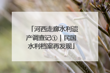 河西走廊水利遗产调查记①｜民国水利档案再发现