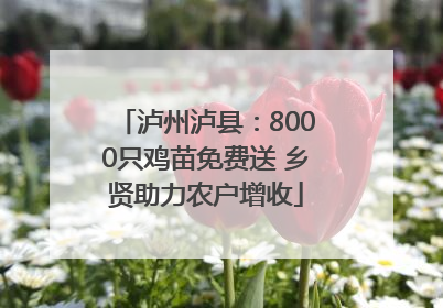 泸州泸县：8000只鸡苗免费送 乡贤助力农户增收