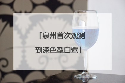 泉州首次观测到深色型白鹭