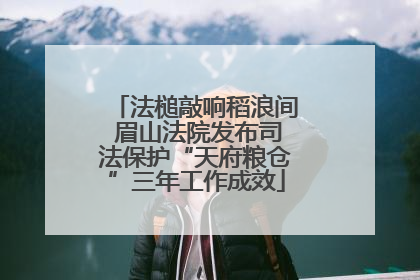法槌敲响稻浪间 眉山法院发布司法保护“天府粮仓”三年工作成效