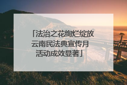 法治之花绚烂绽放 云南民法典宣传月活动成效显著