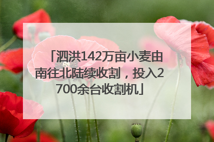 泗洪142万亩小麦由南往北陆续收割，投入2700余台收割机