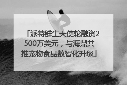 派特鲜生天使轮融资2500万美元，与海鼎共推宠物食品数智化升级