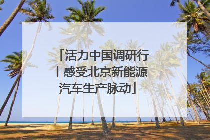活力中国调研行丨感受北京新能源汽车生产脉动
