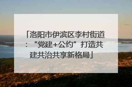 洛阳市伊滨区李村街道：“党建+公约”打造共建共治共享新格局