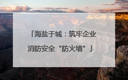 海盐于城：筑牢企业消防安全“防火墙”