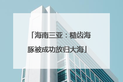 海南三亚：糙齿海豚被成功放归大海