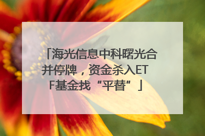 海光信息中科曙光合并停牌，资金杀入ETF基金找“平替”