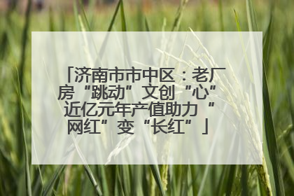 济南市市中区：老厂房“跳动”文创“心” 近亿元年产值助力“网红”变“长红”