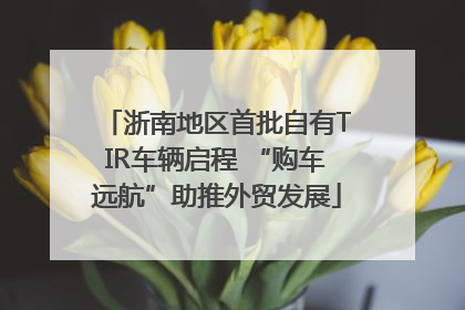 浙南地区首批自有TIR车辆启程 “购车远航”助推外贸发展
