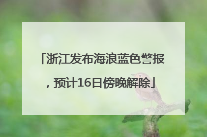 浙江发布海浪蓝色警报，预计16日傍晚解除