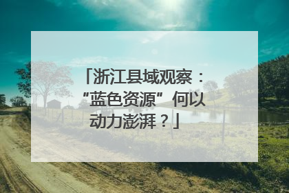 浙江县域观察：“蓝色资源”何以动力澎湃？