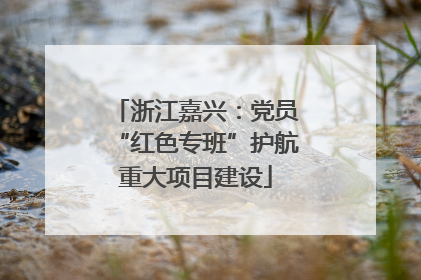 浙江嘉兴：党员“红色专班”护航重大项目建设