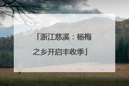 浙江慈溪：杨梅之乡开启丰收季