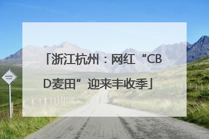 浙江杭州：网红“CBD麦田”迎来丰收季