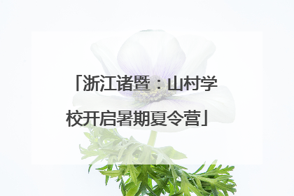 浙江诸暨：山村学校开启暑期夏令营