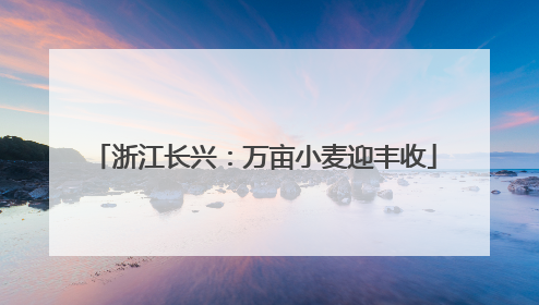 浙江长兴：万亩小麦迎丰收