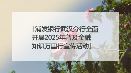 浦发银行武汉分行全面开展2025年普及金融知识万里行宣传活动