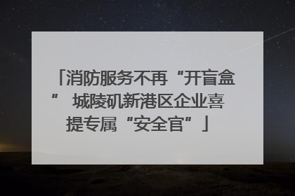 消防服务不再“开盲盒” 城陵矶新港区企业喜提专属“安全官”