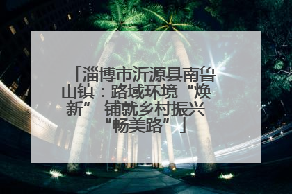 淄博市沂源县南鲁山镇：路域环境“焕新” 铺就乡村振兴“畅美路”