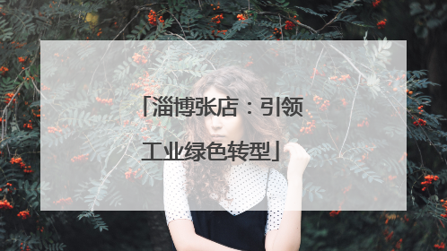 淄博张店：引领工业绿色转型
