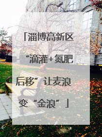 淄博高新区“滴灌+氮肥后移”让麦浪变“金浪”