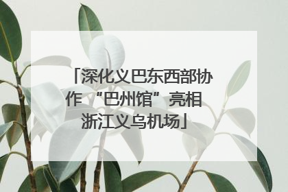 深化义巴东西部协作 “巴州馆”亮相浙江义乌机场