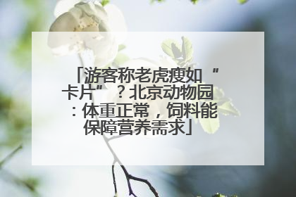游客称老虎瘦如“卡片”？北京动物园：体重正常，饲料能保障营养需求