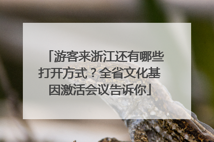 游客来浙江还有哪些打开方式？全省文化基因激活会议告诉你