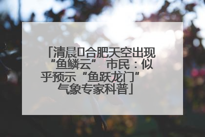 清晨﻿合肥天空出现“鱼鳞云” 市民：似乎预示“鱼跃龙门” 气象专家科普