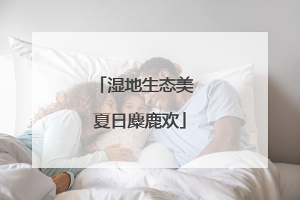 湿地生态美 夏日麋鹿欢