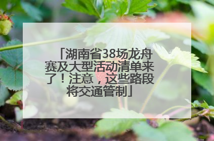 湖南省38场龙舟赛及大型活动清单来了！注意，这些路段将交通管制