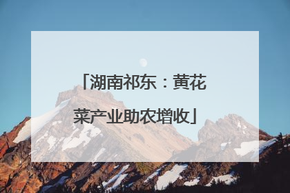 湖南祁东：黄花菜产业助农增收