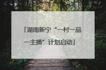 湖南新宁“一村一品一主播”计划启动
